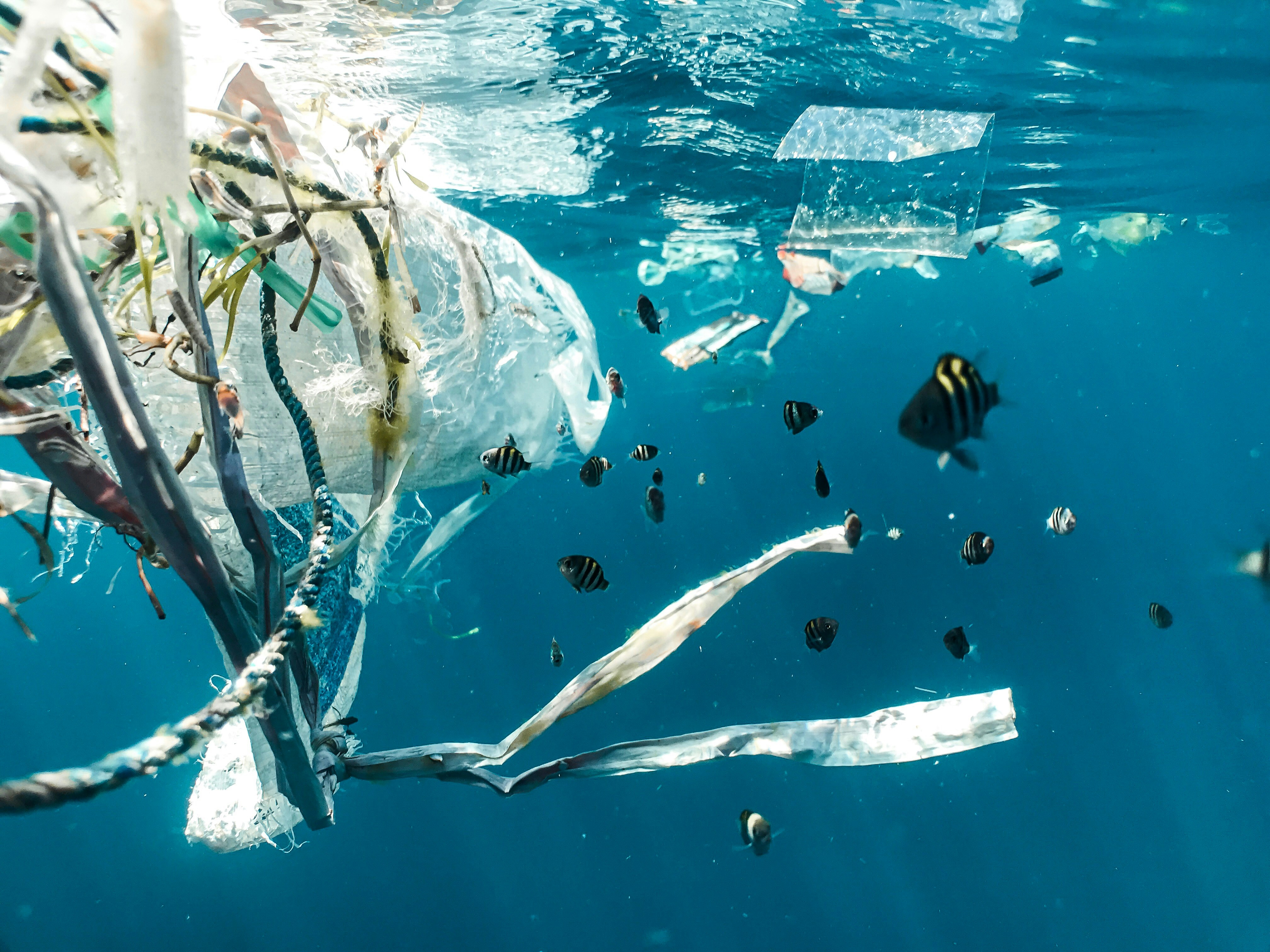 plastic pollution in the ocean