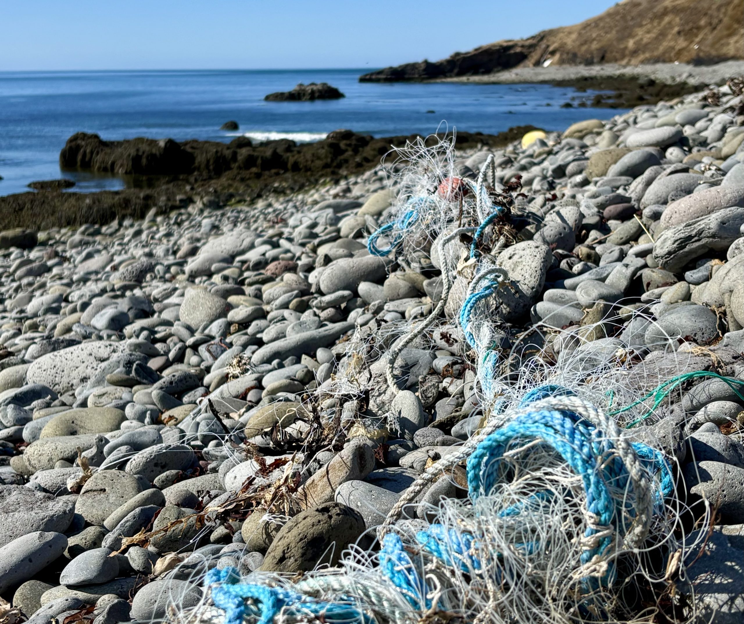 fish net on beach
