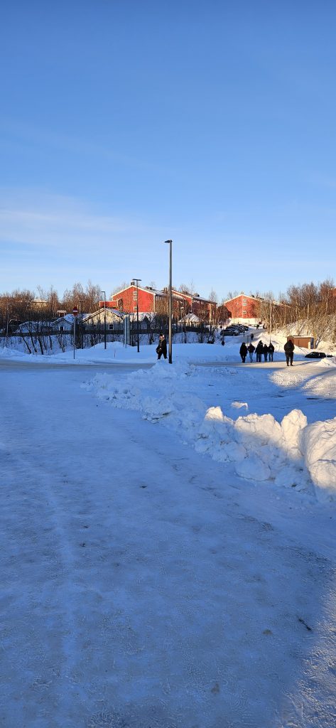A branching walking path where the right branch leads up to rows of red, wooden houses.